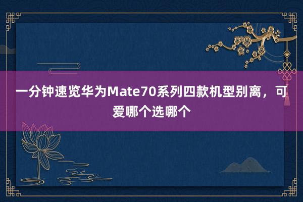 一分钟速览华为Mate70系列四款机型别离，可爱哪个选哪个