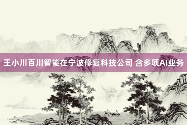 王小川百川智能在宁波修复科技公司 含多项AI业务