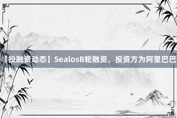 【投融资动态】SealosB轮融资，投资方为阿里巴巴