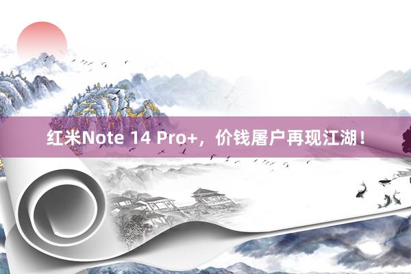 红米Note 14 Pro+，价钱屠户再现江湖！