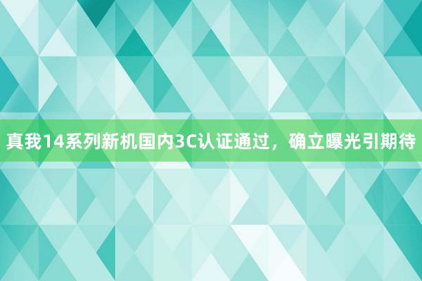 真我14系列新机国内3C认证通过，确立曝光引期待