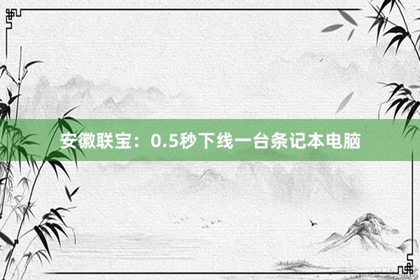 安徽联宝：0.5秒下线一台条记本电脑