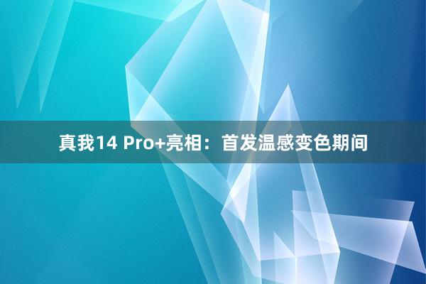 真我14 Pro+亮相：首发温感变色期间