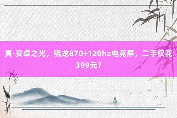 真·安卓之光，骁龙870+120hz电竞屏，二手仅花399元？