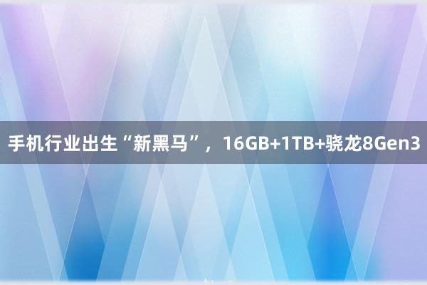 手机行业出生“新黑马”，16GB+1TB+骁龙8Gen3