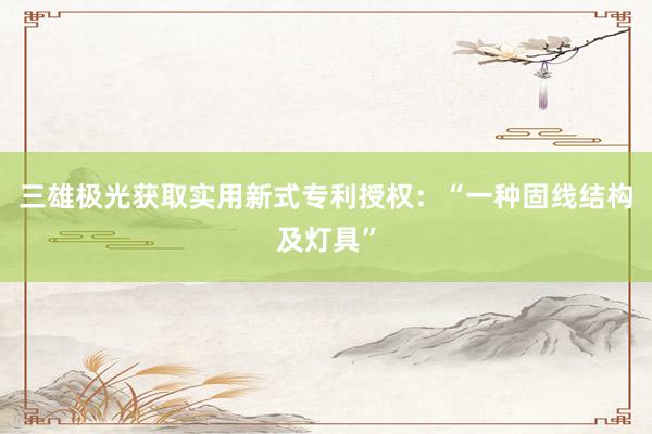 三雄极光获取实用新式专利授权：“一种固线结构及灯具”