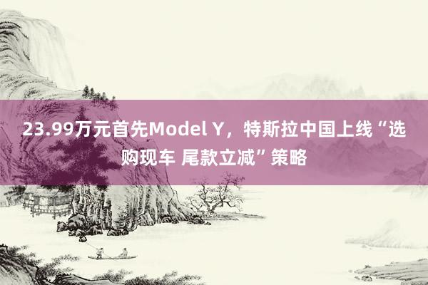 23.99万元首先Model Y，特斯拉中国上线“选购现车 尾款立减”策略