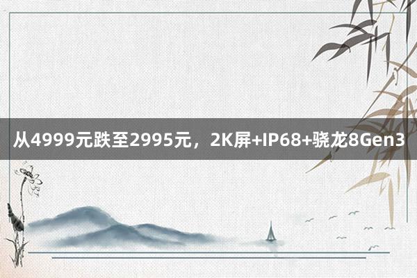 从4999元跌至2995元，2K屏+IP68+骁龙8Gen3