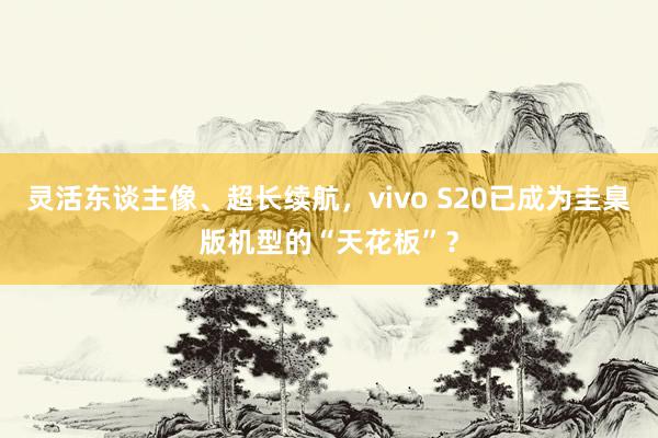 灵活东谈主像、超长续航，vivo S20已成为圭臬版机型的“天花板”？