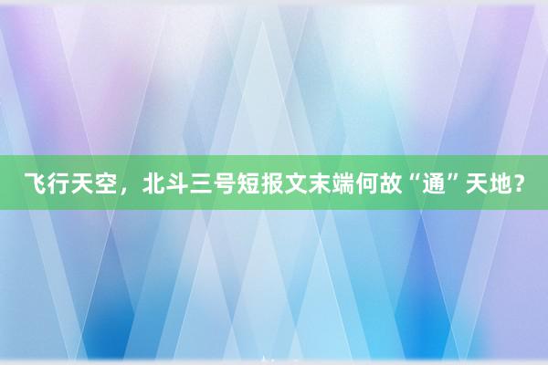 飞行天空，北斗三号短报文末端何故“通”天地？