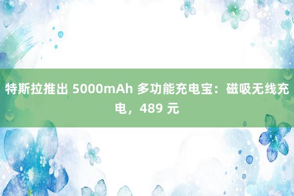 特斯拉推出 5000mAh 多功能充电宝：磁吸无线充电，489 元