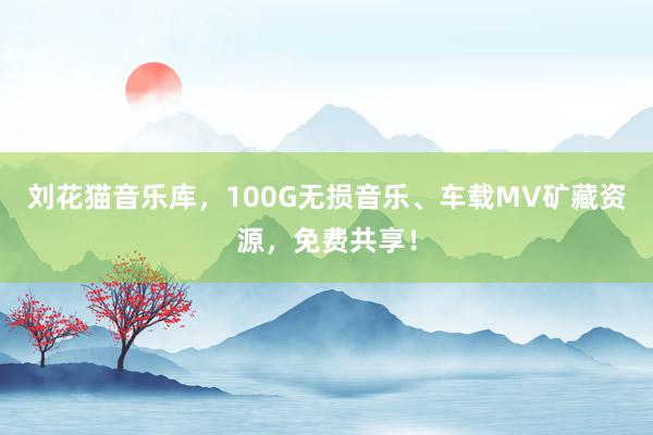 刘花猫音乐库，100G无损音乐、车载MV矿藏资源，免费共享！