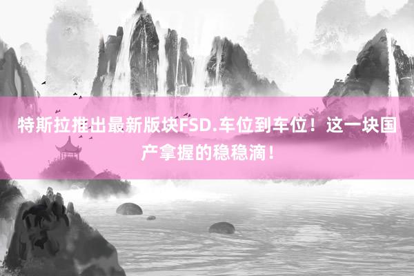 特斯拉推出最新版块FSD.车位到车位！这一块国产拿握的稳稳滴！