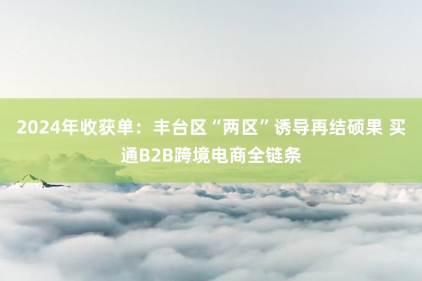 2024年收获单：丰台区“两区”诱导再结硕果 买通B2B跨境电商全链条