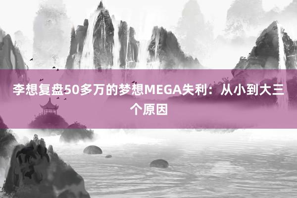 李想复盘50多万的梦想MEGA失利：从小到大三个原因