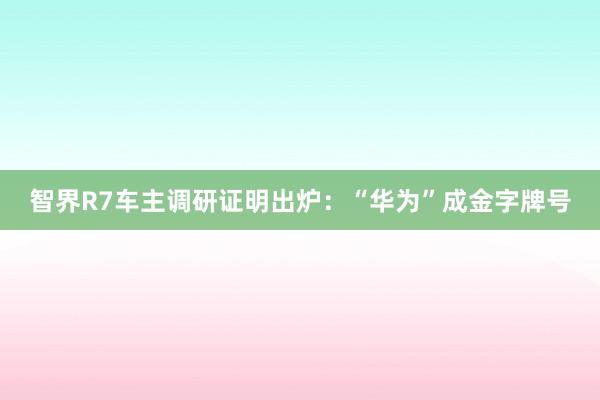 智界R7车主调研证明出炉：“华为”成金字牌号