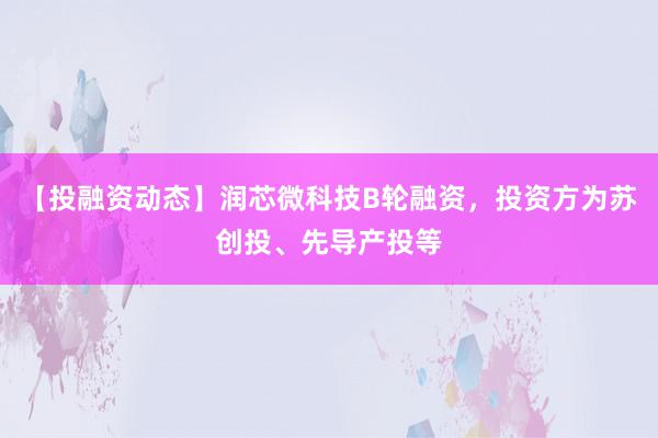 【投融资动态】润芯微科技B轮融资，投资方为苏创投、先导产投等