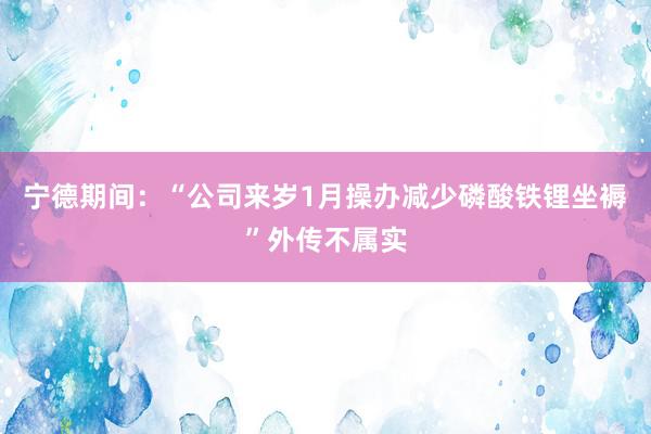 宁德期间：“公司来岁1月操办减少磷酸铁锂坐褥”外传不属实