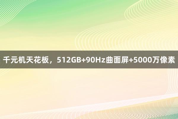 千元机天花板，512GB+90Hz曲面屏+5000万像素