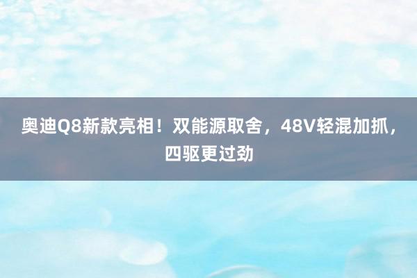 奥迪Q8新款亮相！双能源取舍，48V轻混加抓，四驱更过劲