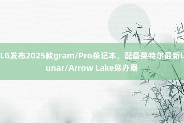 LG发布2025款gram/Pro条记本，配备英特尔最新Lunar/Arrow Lake惩办器