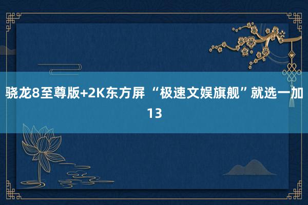 骁龙8至尊版+2K东方屏 “极速文娱旗舰”就选一加13