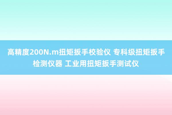 高精度200N.m扭矩扳手校验仪 专科级扭矩扳手检测仪器 工业用扭矩扳手测试仪