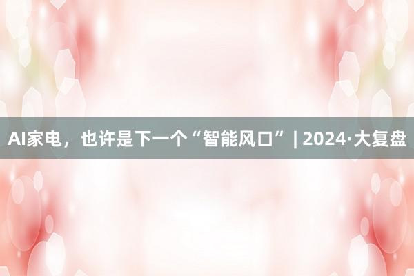 AI家电，也许是下一个“智能风口” | 2024·大复盘