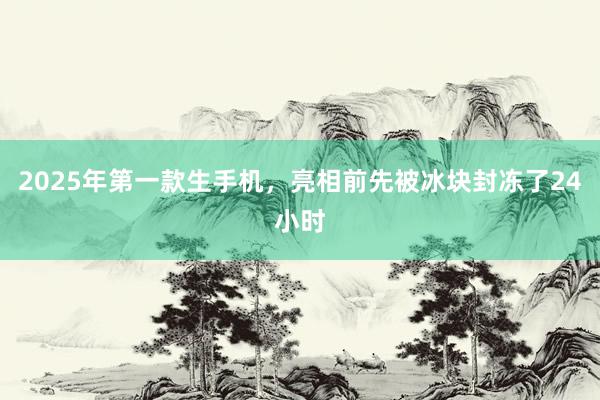 2025年第一款生手机，亮相前先被冰块封冻了24小时