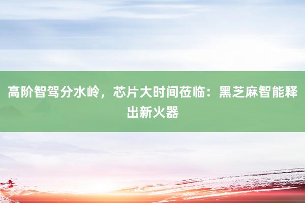 高阶智驾分水岭，芯片大时间莅临：黑芝麻智能释出新火器