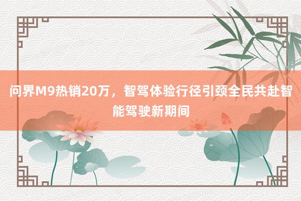 问界M9热销20万，智驾体验行径引颈全民共赴智能驾驶新期间