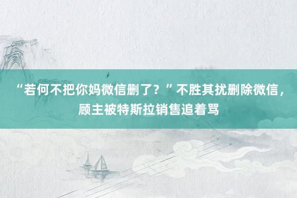 “若何不把你妈微信删了？”不胜其扰删除微信，顾主被特斯拉销售追着骂