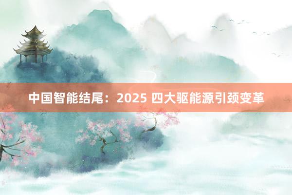 中国智能结尾：2025 四大驱能源引颈变革