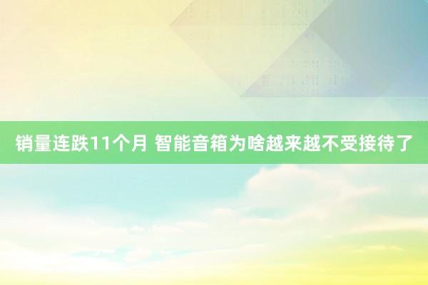 销量连跌11个月 智能音箱为啥越来越不受接待了