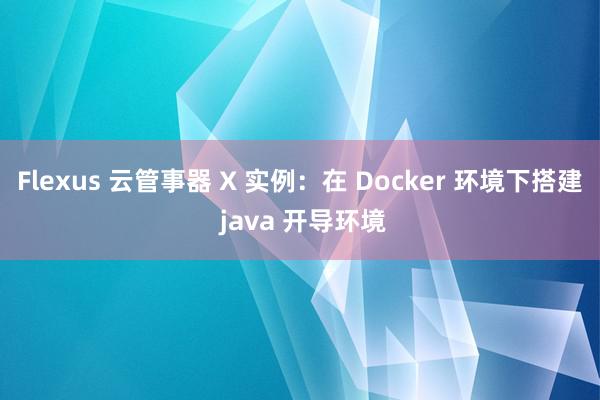 Flexus 云管事器 X 实例：在 Docker 环境下搭建 java 开导环境