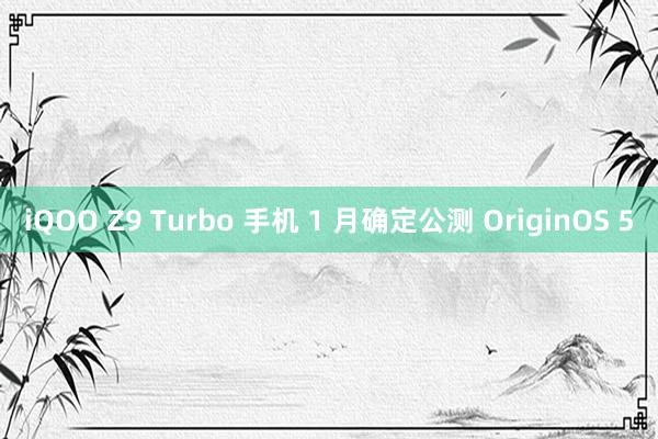 iQOO Z9 Turbo 手机 1 月确定公测 OriginOS 5