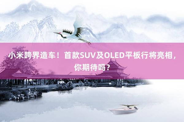 小米跨界造车！首款SUV及OLED平板行将亮相，你期待吗？