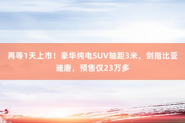 再等1天上市！豪华纯电SUV轴距3米，剑指比亚迪唐，预售仅23万多