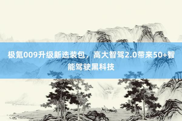 极氪009升级新选装包，高大智驾2.0带来50+智能驾驶黑科技