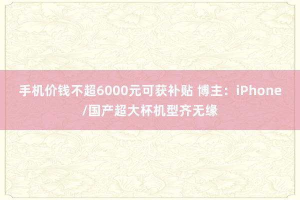 手机价钱不超6000元可获补贴 博主：iPhone/国产超大杯机型齐无缘