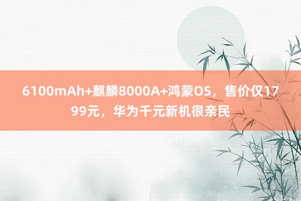 6100mAh+麒麟8000A+鸿蒙OS，售价仅1799元，华为千元新机很亲民