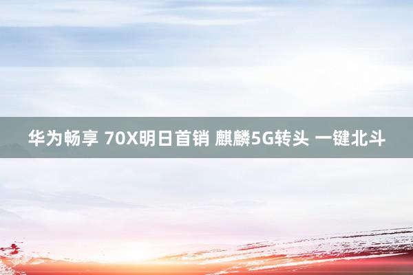 华为畅享 70X明日首销 麒麟5G转头 一键北斗