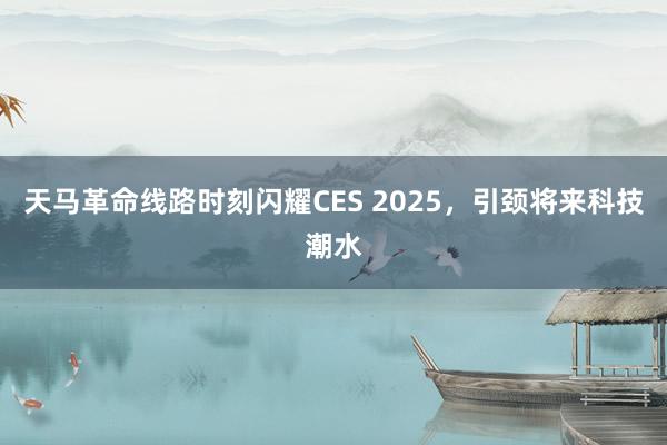 天马革命线路时刻闪耀CES 2025，引颈将来科技潮水