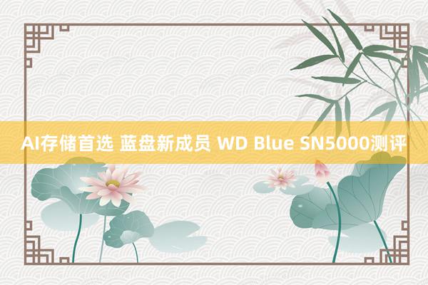 AI存储首选 蓝盘新成员 WD Blue SN5000测评