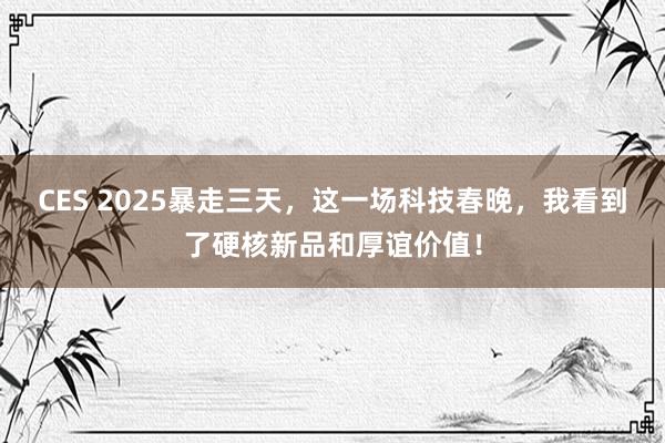 CES 2025暴走三天，这一场科技春晚，我看到了硬核新品和厚谊价值！