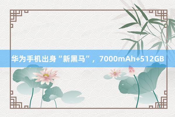 华为手机出身“新黑马”，7000mAh+512GB