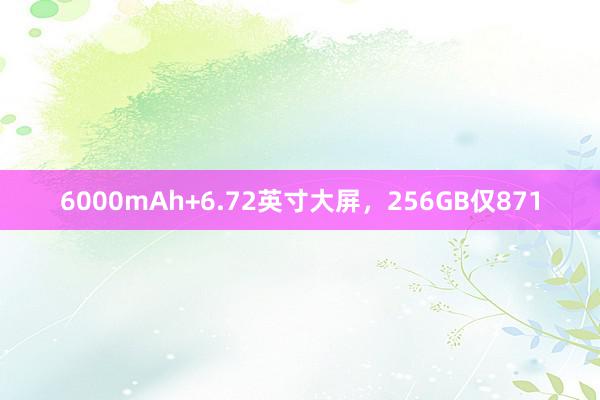 6000mAh+6.72英寸大屏，256GB仅871