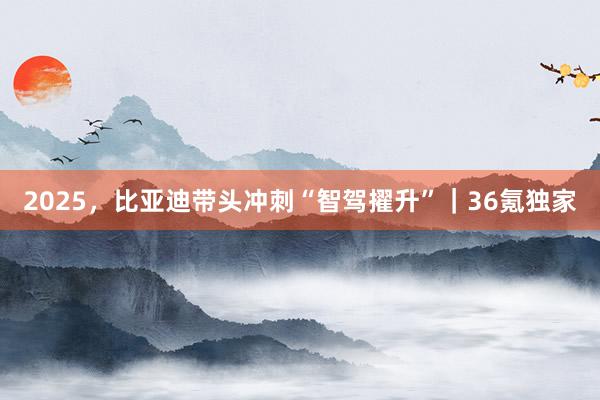 2025，比亚迪带头冲刺“智驾擢升”｜36氪独家