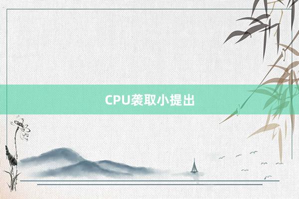 CPU袭取小提出