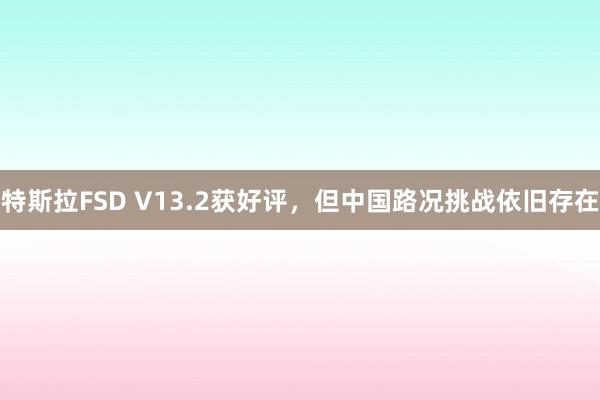 特斯拉FSD V13.2获好评，但中国路况挑战依旧存在